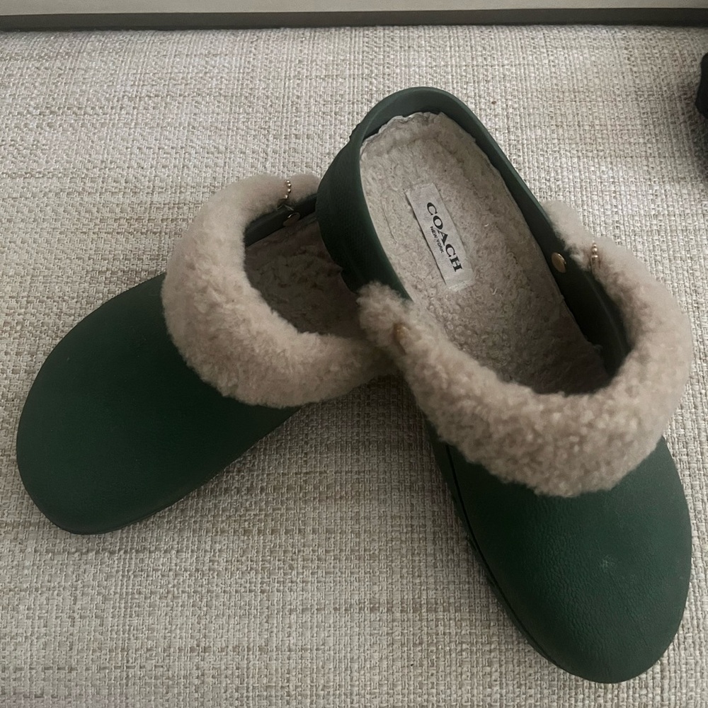 Coach Croc with Sherpa